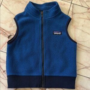 Patagonia Kids Blue Fleece Vest
